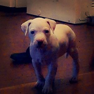 Meet your Posher, Ayieanna